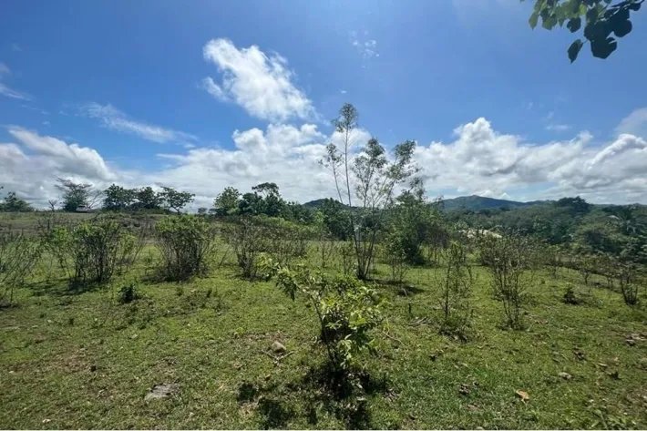 Farms for sale in Coronado, Panama Oeste