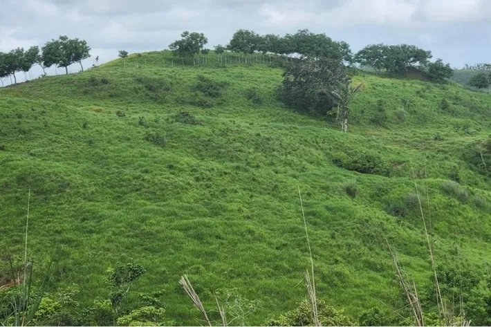Farms for sale in Coronado, Panama Oeste