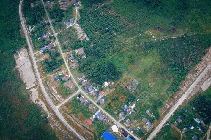 Land for sale in La Rana de Oro, Pedregal, Panama