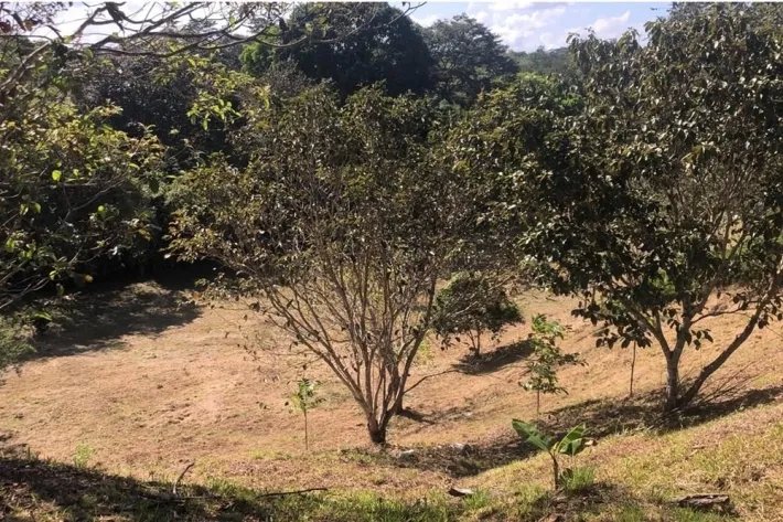 Land for sale in El Nazareno, La Chorrera