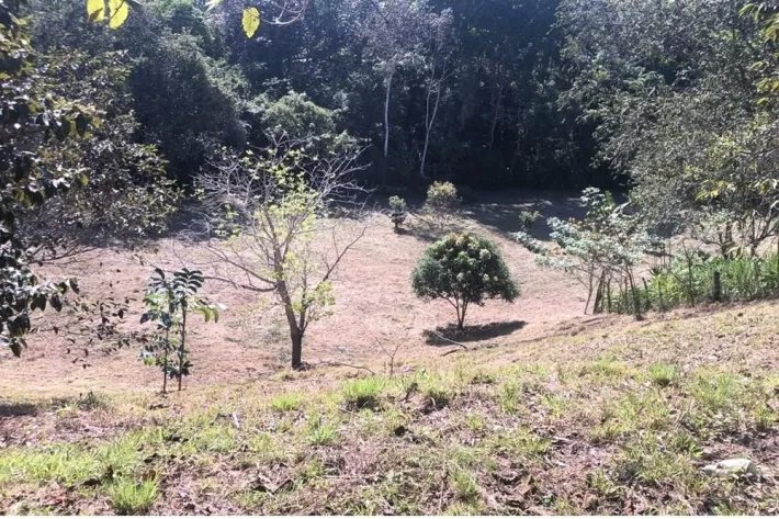 Land for sale in El Nazareno, La Chorrera