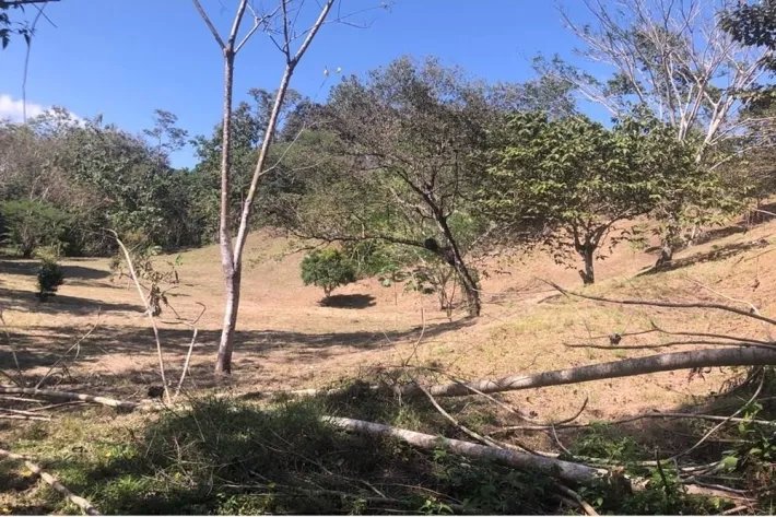 Land for sale in El Nazareno, La Chorrera