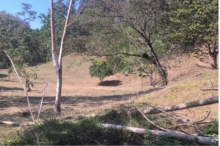 Land for sale in El Nazareno, La Chorrera