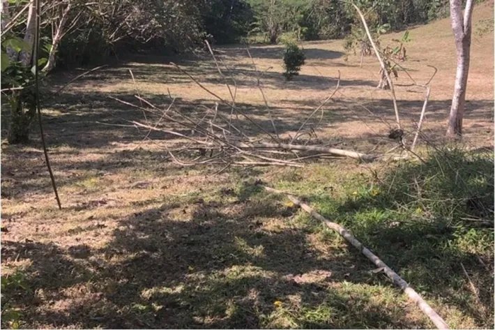 Land for sale in El Nazareno, La Chorrera
