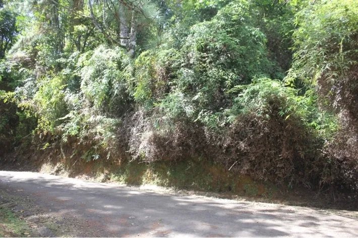 Land for sale in Altos de Cerro Azul, Panama