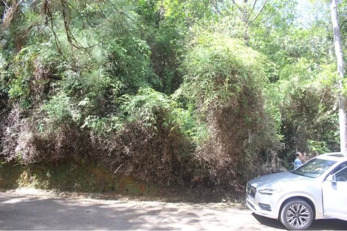 Land for sale in Altos de Cerro Azul, Panama