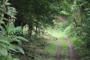 14540 - Las Tablas - casas - cerro canajagua