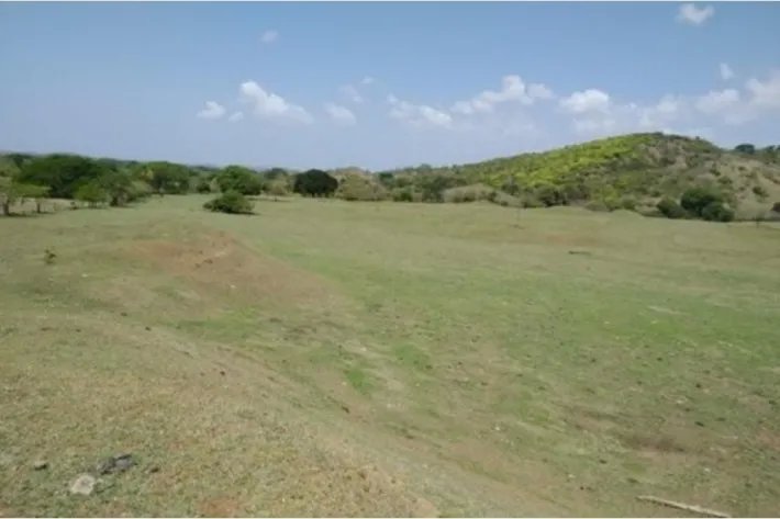 Farm for sale in Pesé, Herrera, Panama