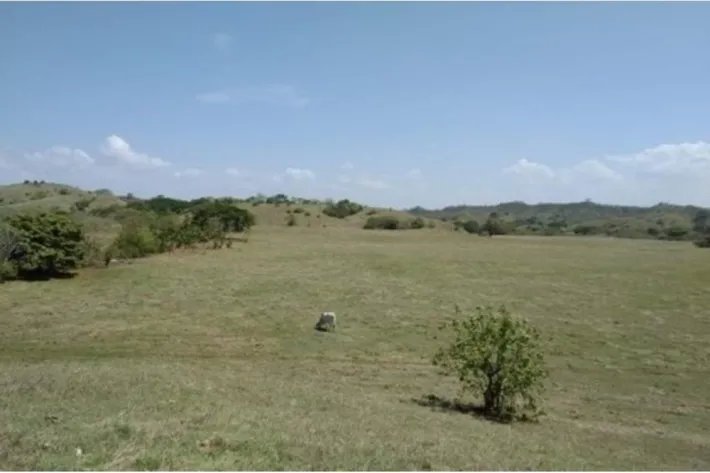 Farm for sale in Pesé, Herrera, Panama