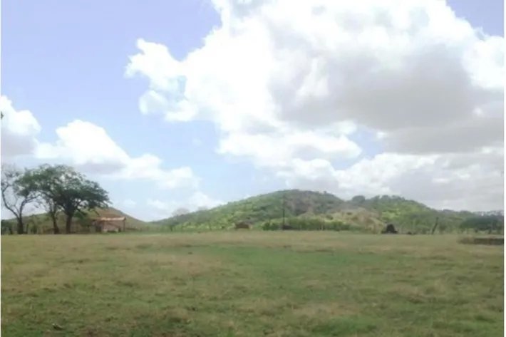 Farm for sale in Pesé, Herrera, Panama