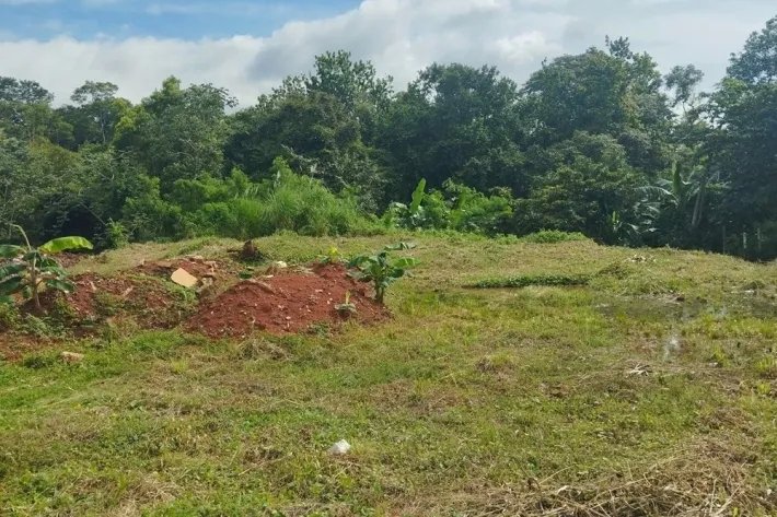 Land plot for sale in Villalobos, Pedregal