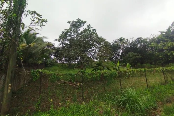 Land for sale in Villalobos, Pedregal