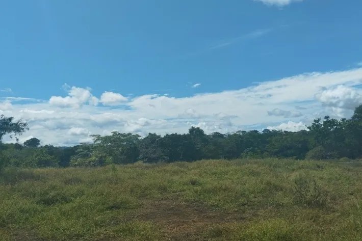 Land for sale in Cañitas, Chepo