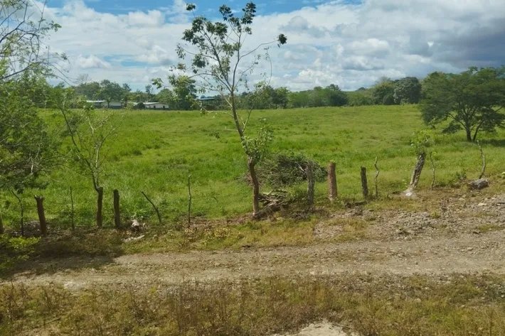 Land for sale in Cañitas, Chepo