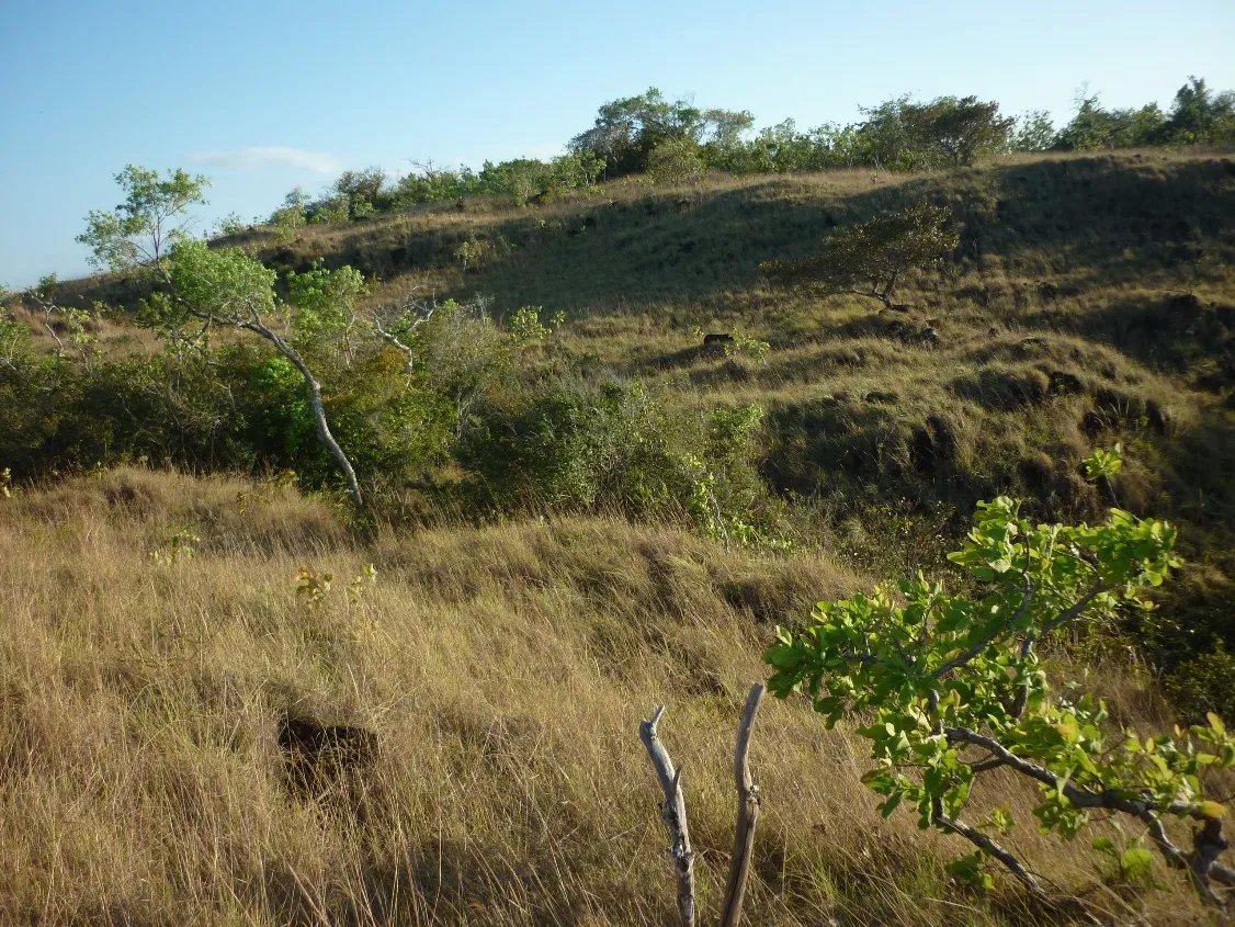 Venta de Terreno en Calobre