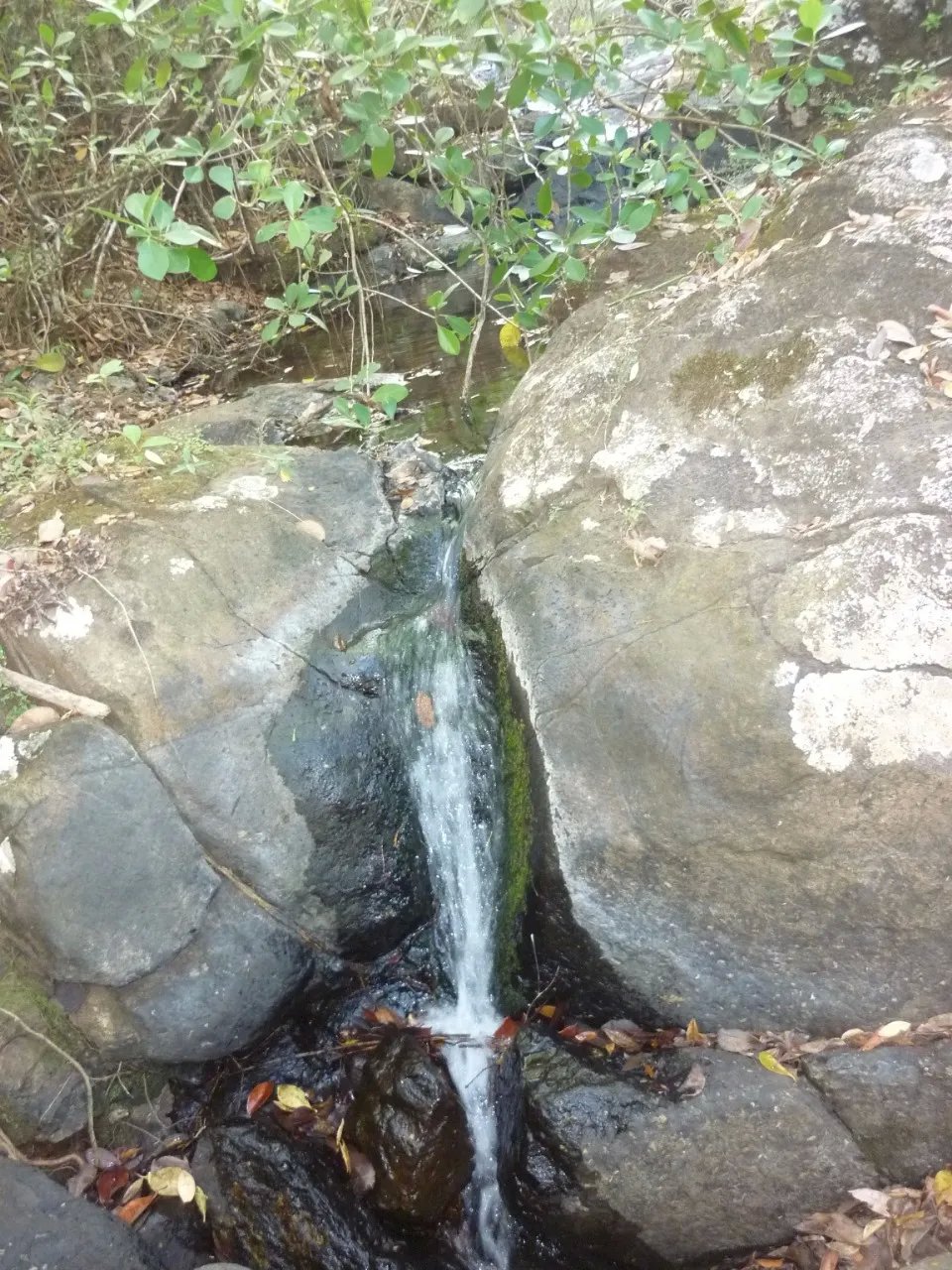 Venta de Terreno en Calobre