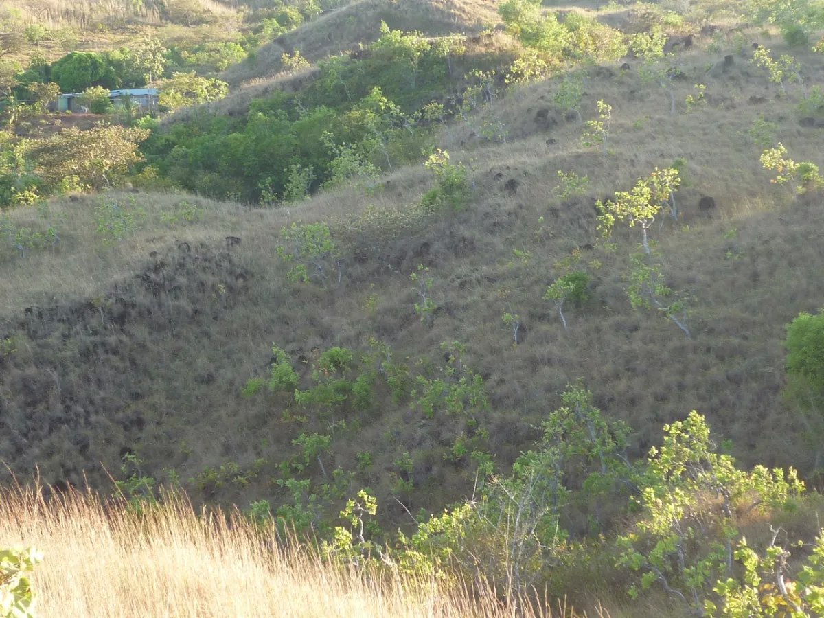 Venta de Terreno en Calobre