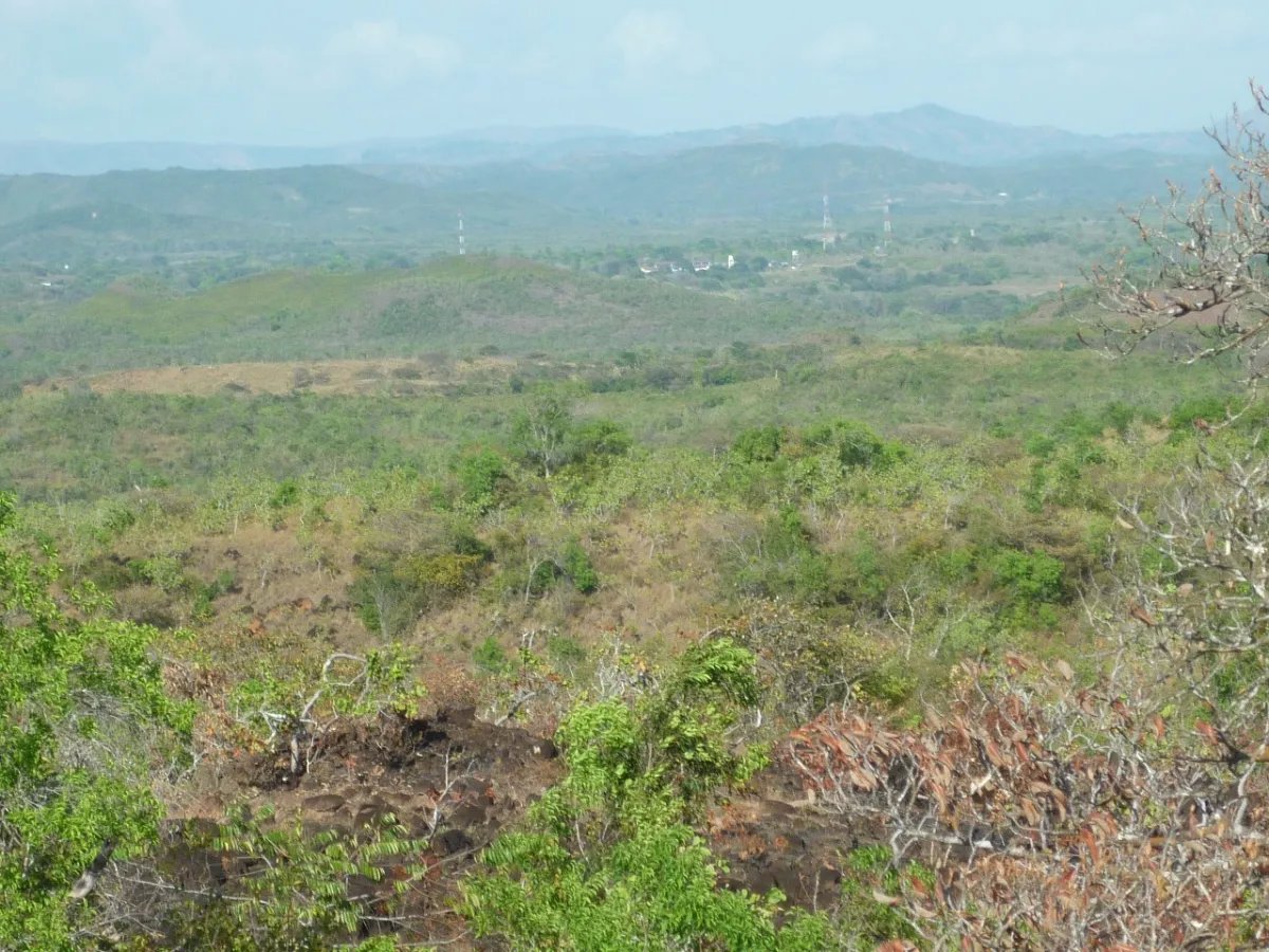 Venta de Terreno en Calobre