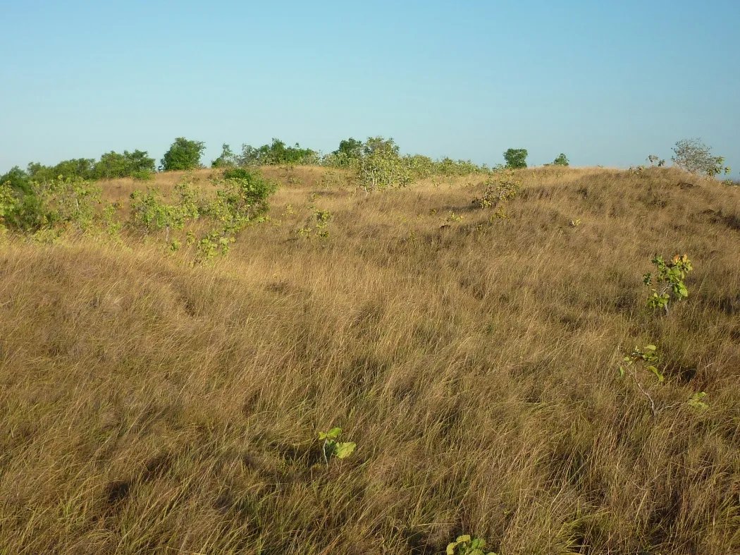 Venta de Terreno en Calobre