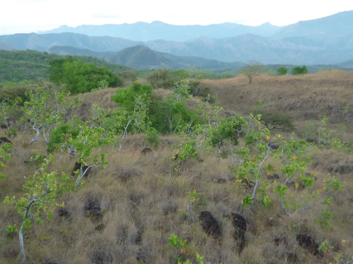 Venta de Terreno en Calobre