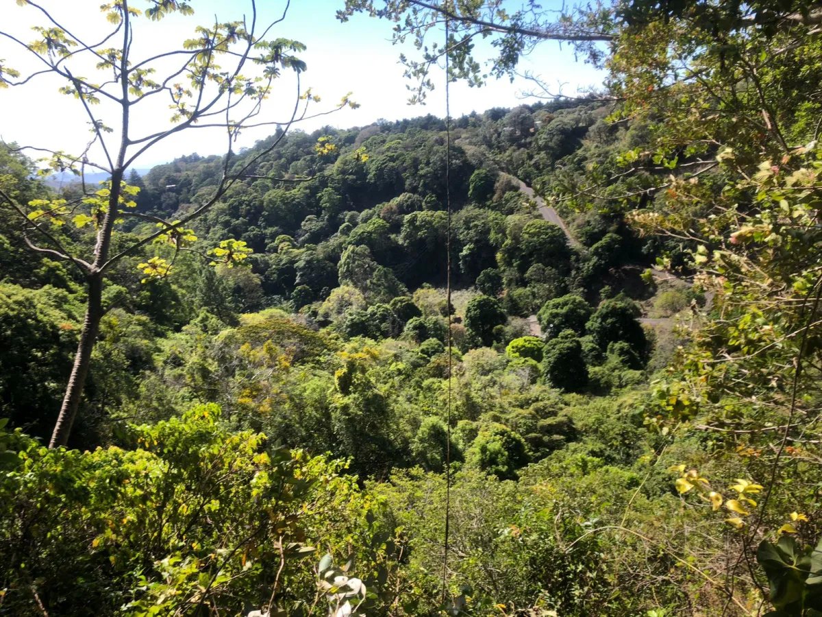 Unimproved Land For Sale in Volcancito
