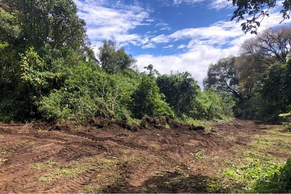 Unimproved Land For Sale in Volcancito