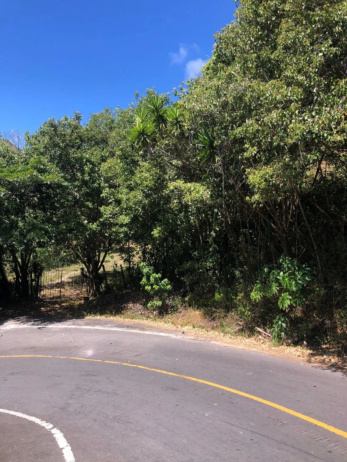 Unimproved Land For Sale in Volcancito