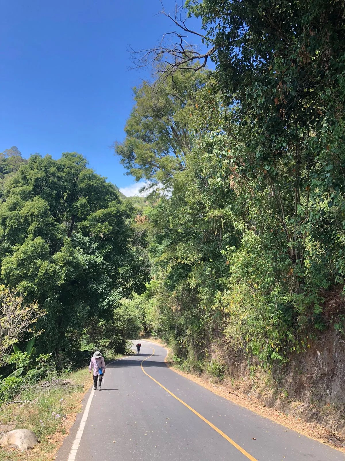 Unimproved Land For Sale in Volcancito