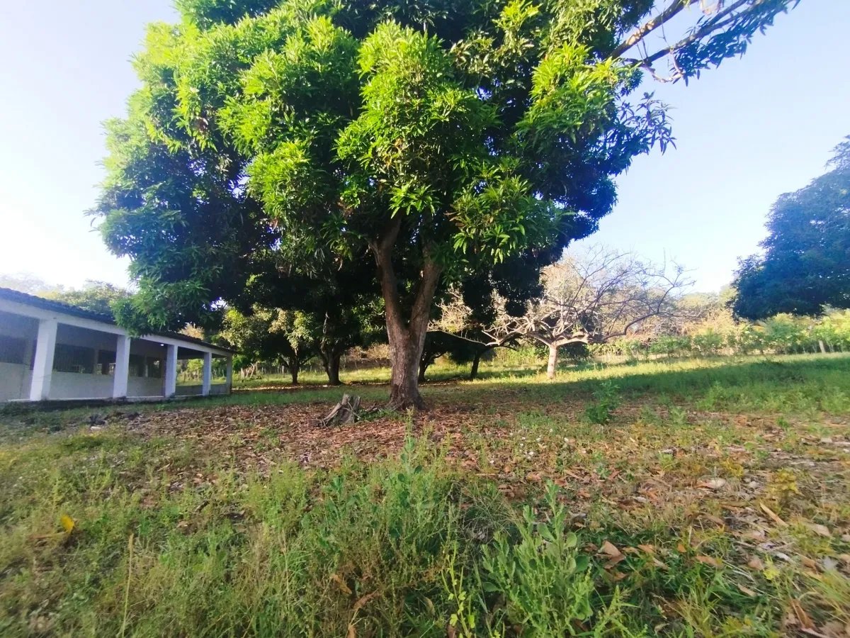 Single Family Detached For Sale in Santo Domingo