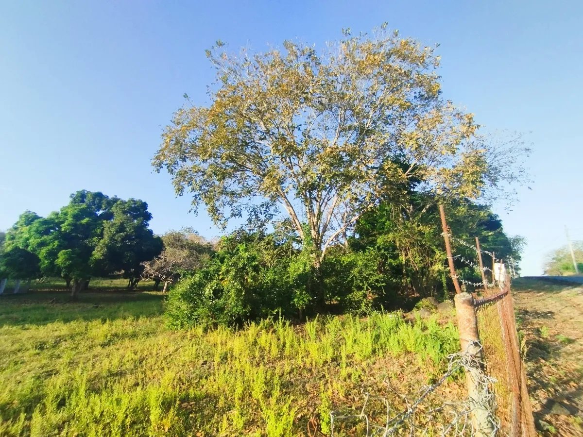Single Family Detached For Sale in Santo Domingo
