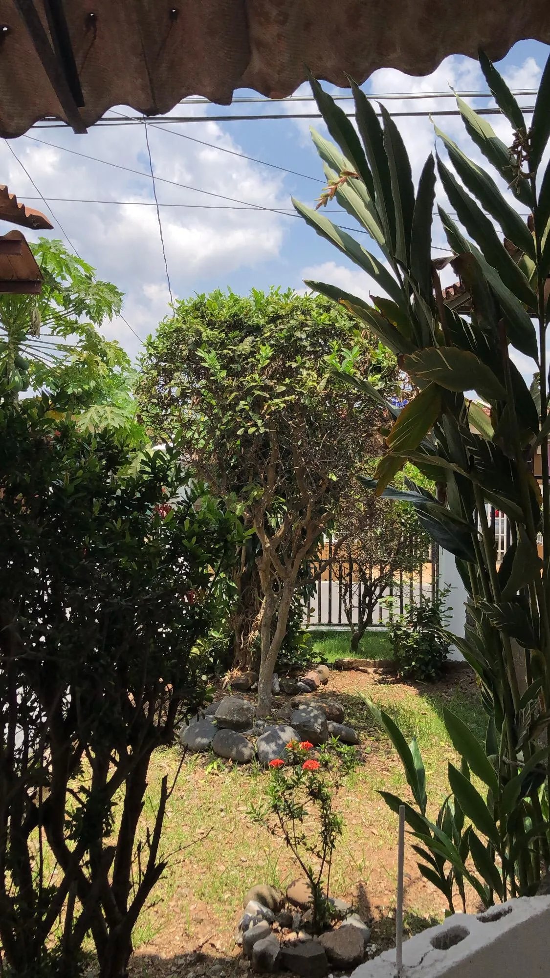 Single Family Detached For Sale in Vacamonte