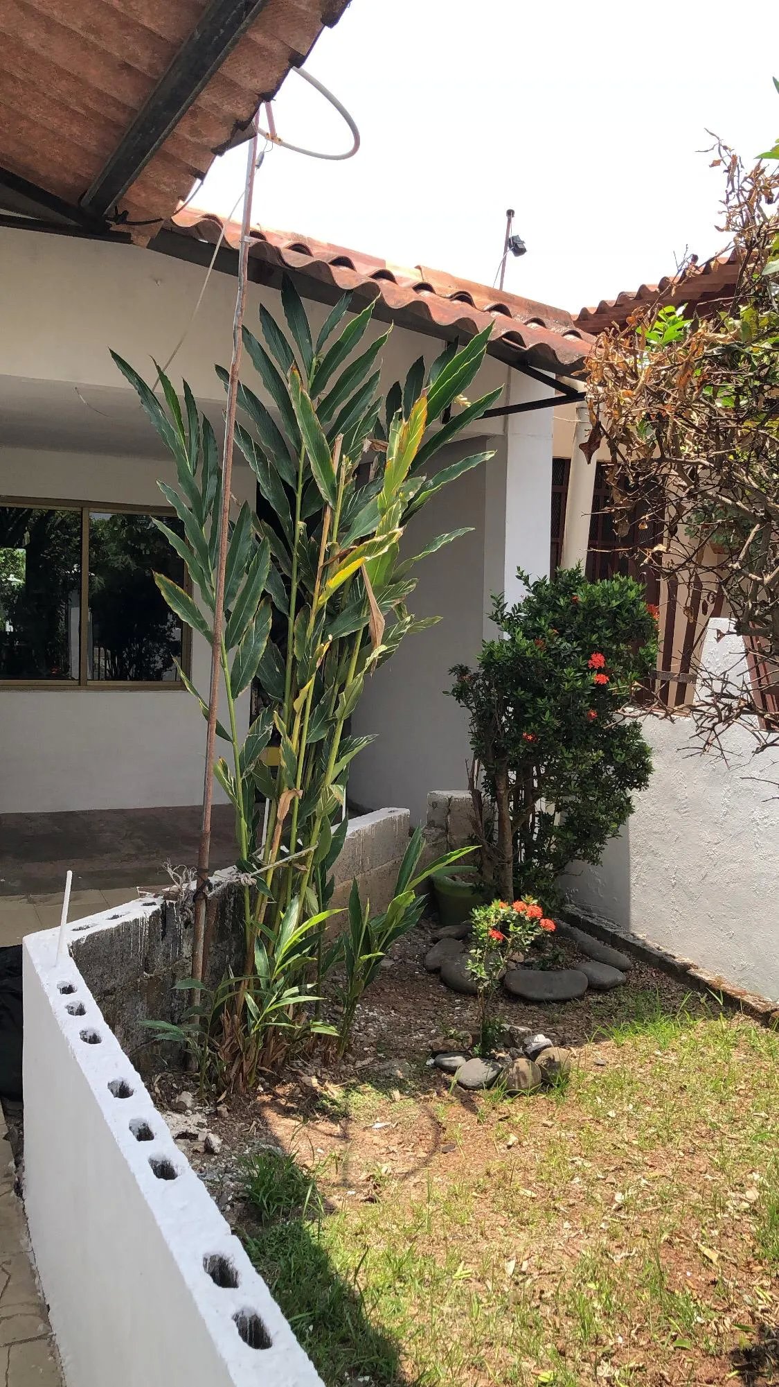 Single Family Detached For Sale in Vacamonte