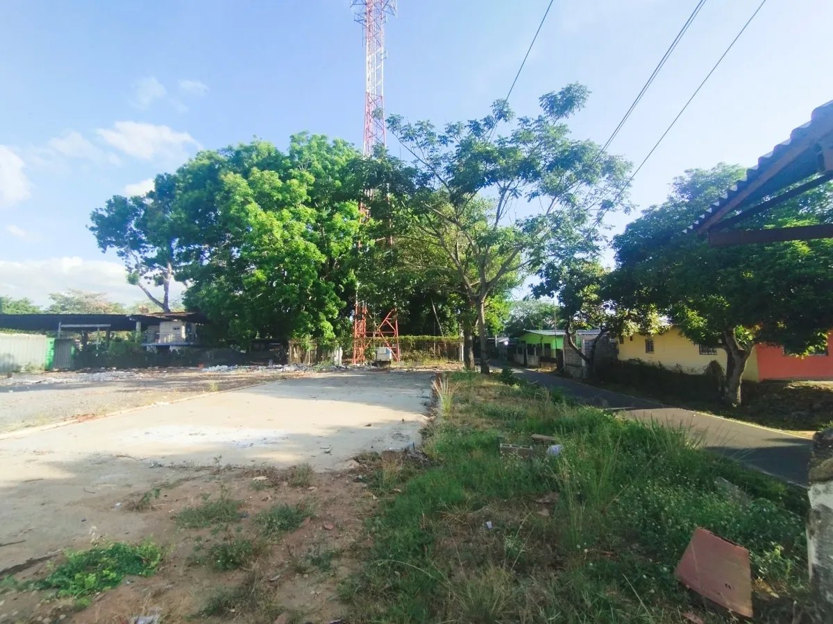 Unimproved Land For Sale in Pacora