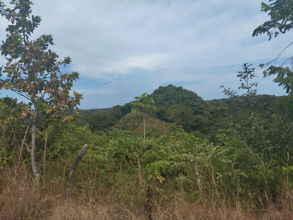 Unimproved Land For Sale in Via El Cacao De Capira