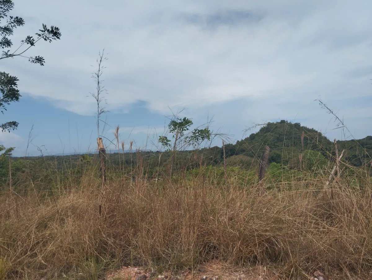 Unimproved Land For Sale in Via El Cacao De Capira