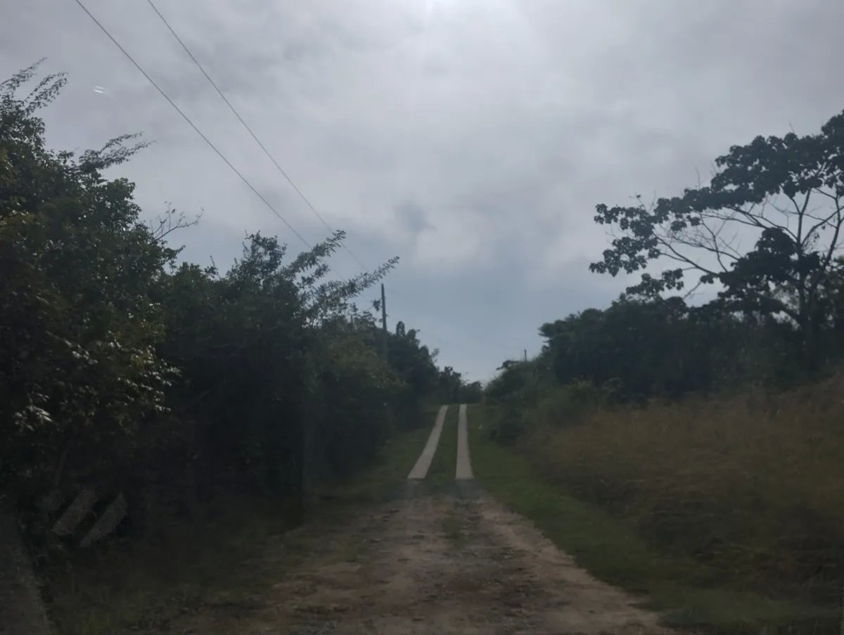 Unimproved Land For Sale in Via El Cacao De Capira