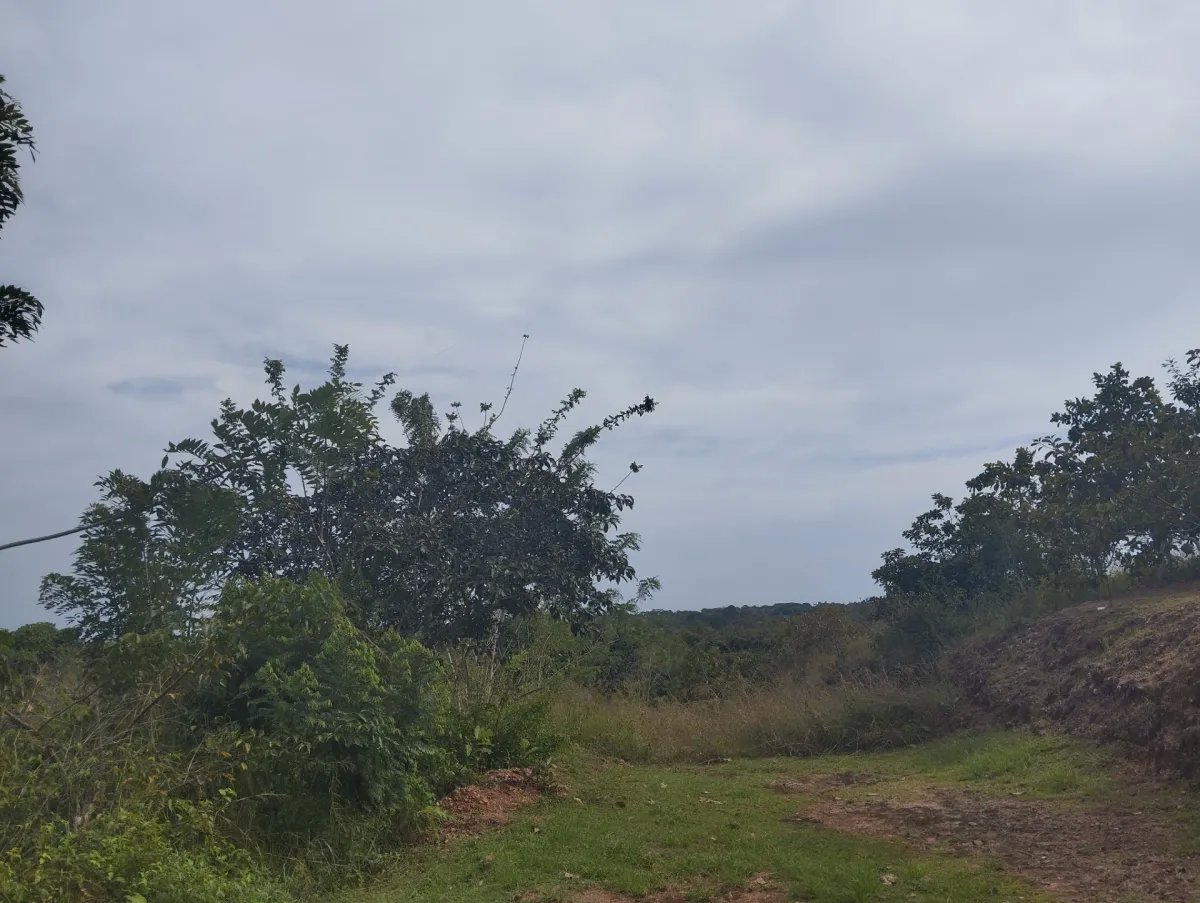 Unimproved Land For Sale in Via El Cacao De Capira