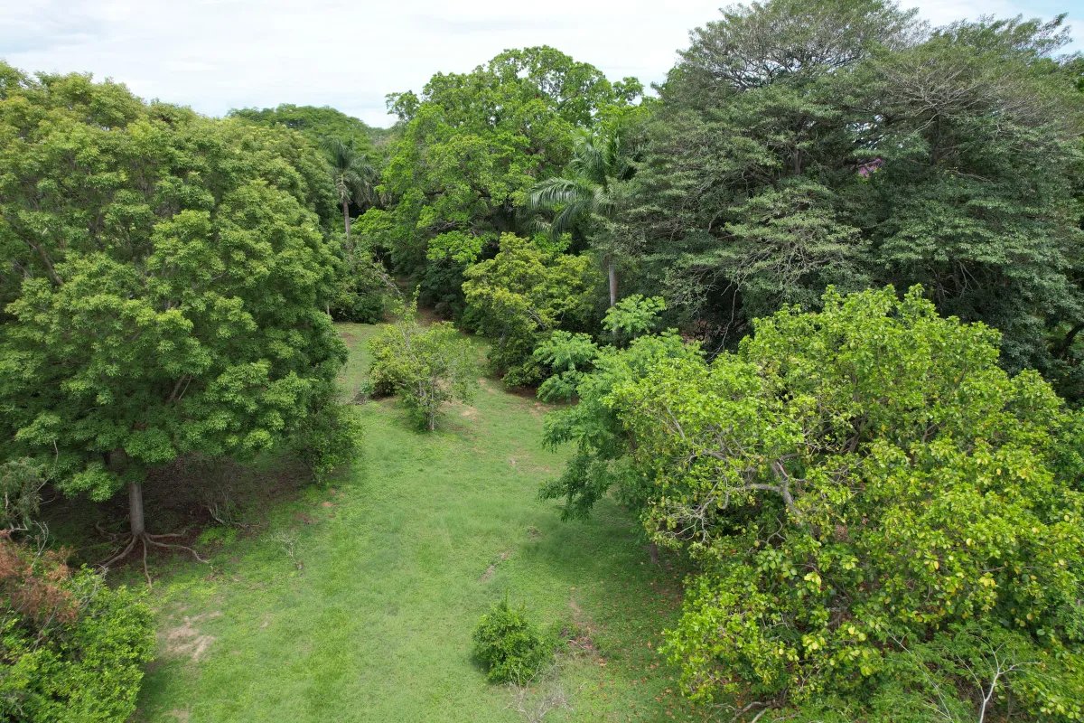 Unimproved Land For Sale in Santa Clara, San Carlos