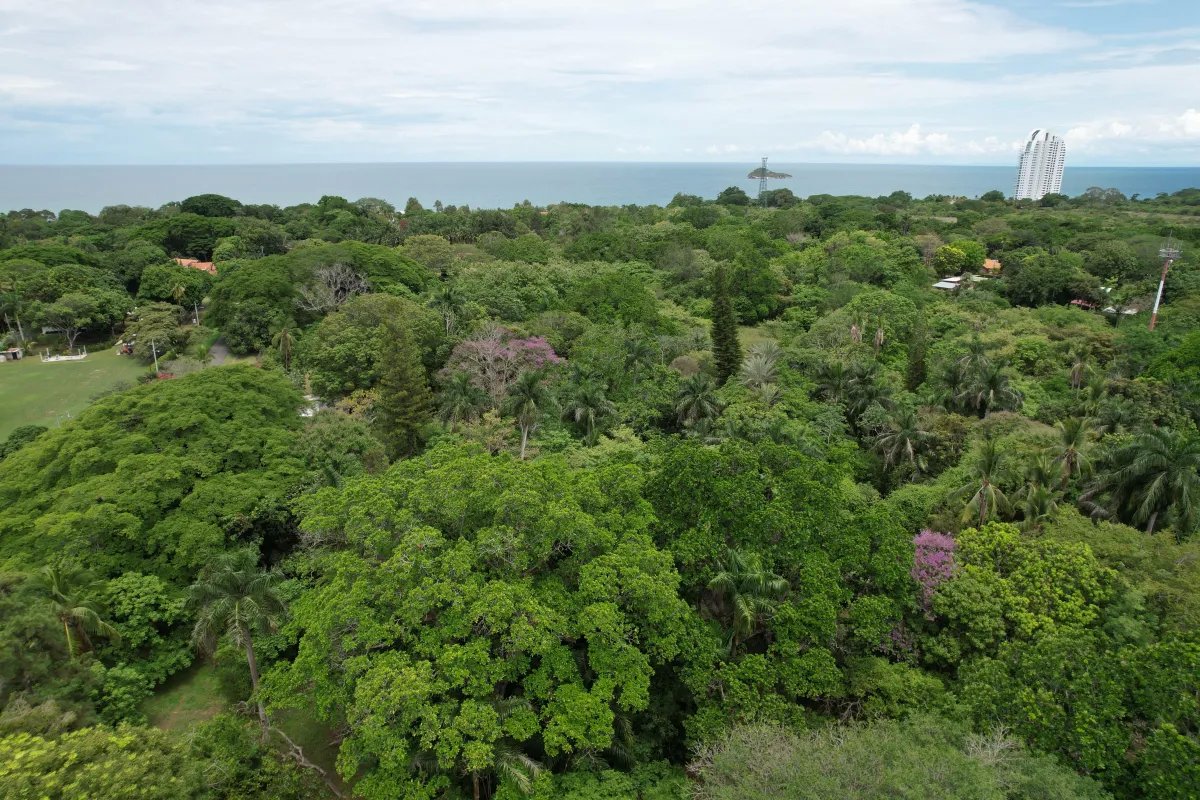 Unimproved Land For Sale in Santa Clara, San Carlos