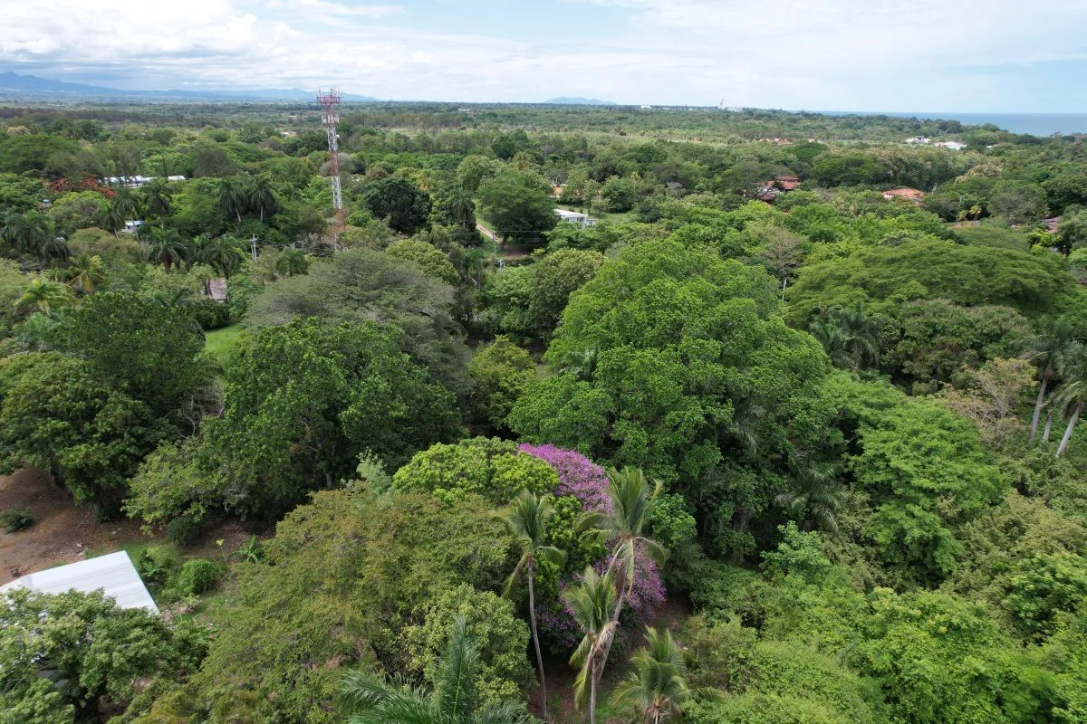 Unimproved Land For Sale in Santa Clara, San Carlos