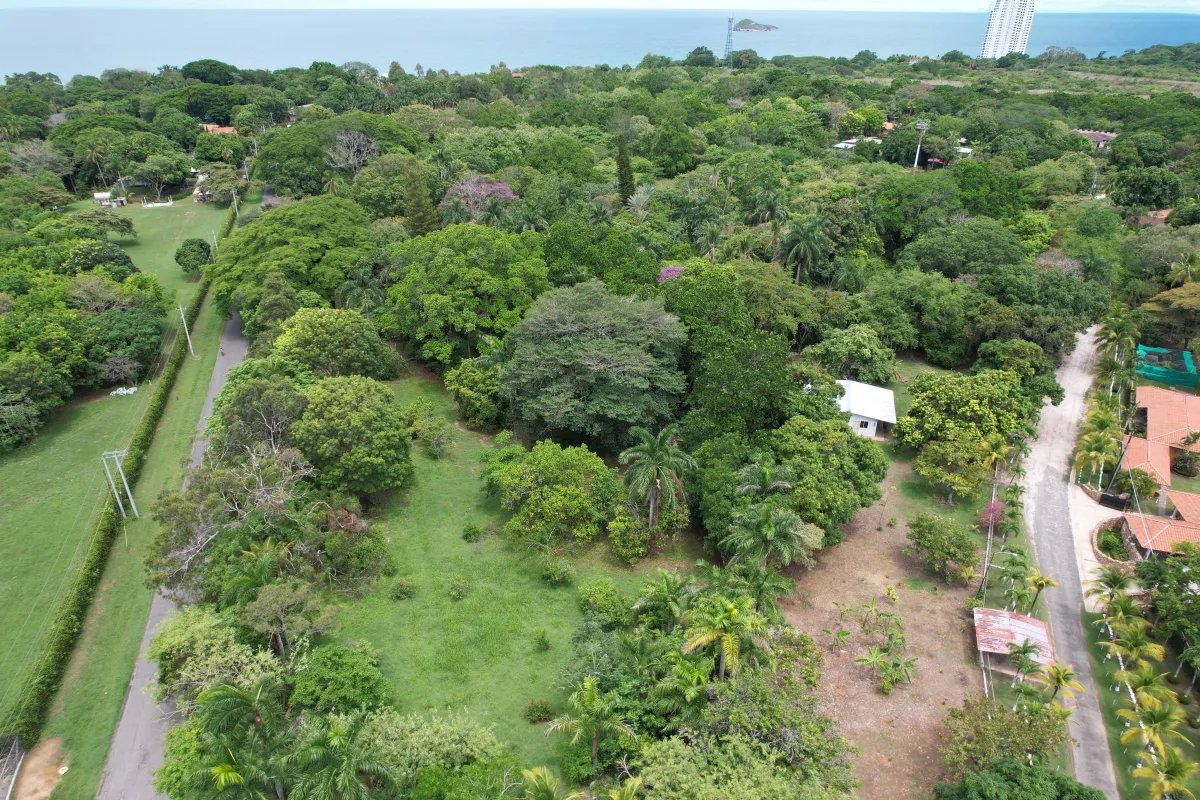 Unimproved Land For Sale in Santa Clara, San Carlos