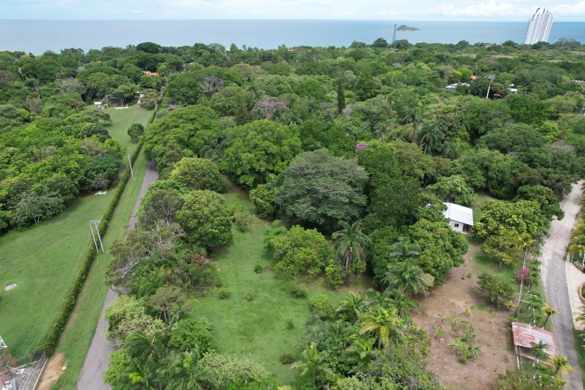 Unimproved Land For Sale in Santa Clara, San Carlos