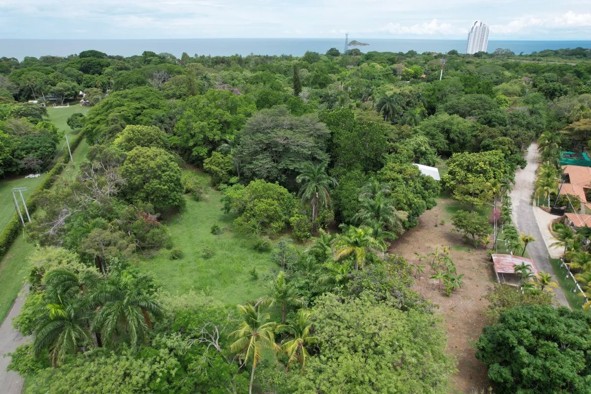 Unimproved Land For Sale in Santa Clara, San Carlos