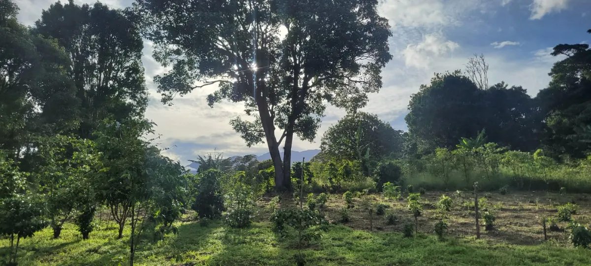 Mixed Use For Sale in Palmira; Boquete, Panama