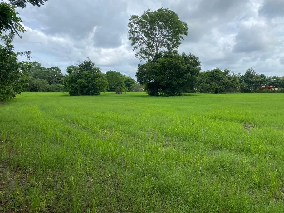Farm For Sale in Guasimo