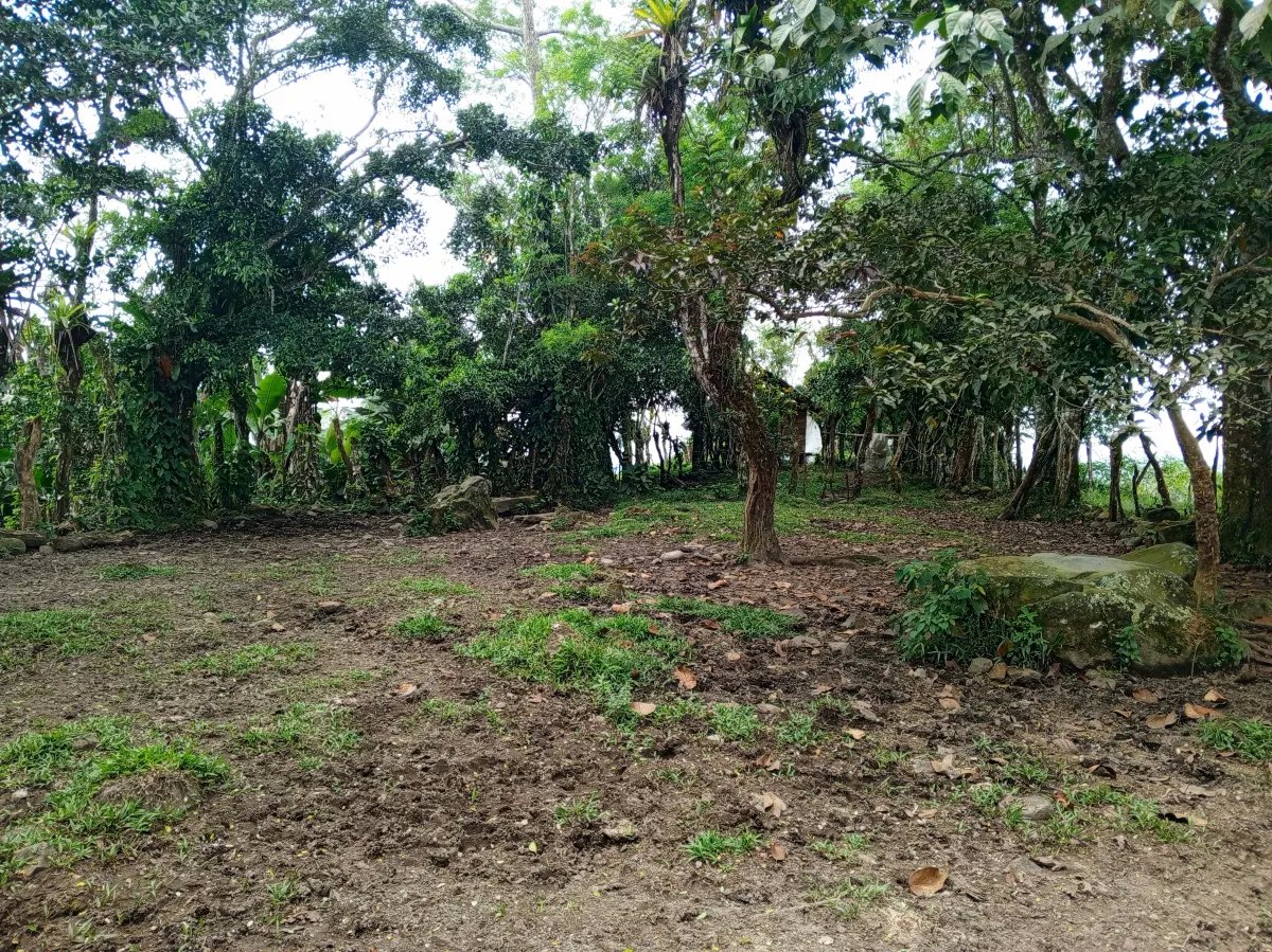 Finca de 21.7 Hectáreas en Venta en Santa Rosa, Bugaba, Chiriquí, Panamá | Tierra Agrícola de Altura y Oportunidad de Inversión