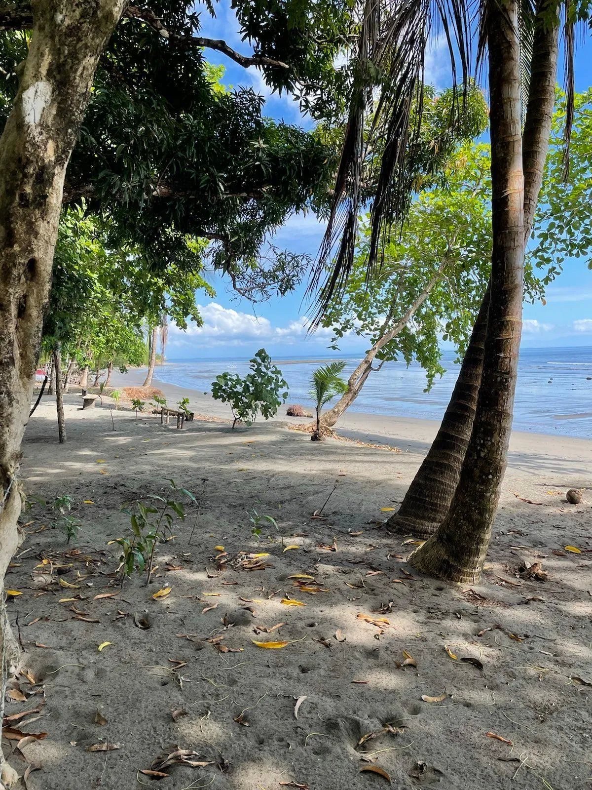 Lot For Sale in Puerto Armuelles, Limones