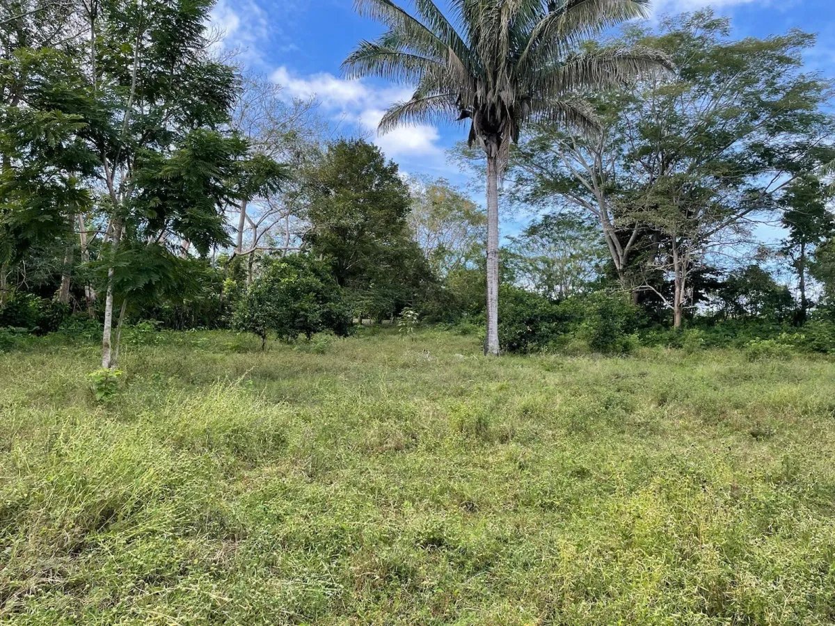 Lot For Sale in Puerto Armuelles, Limones