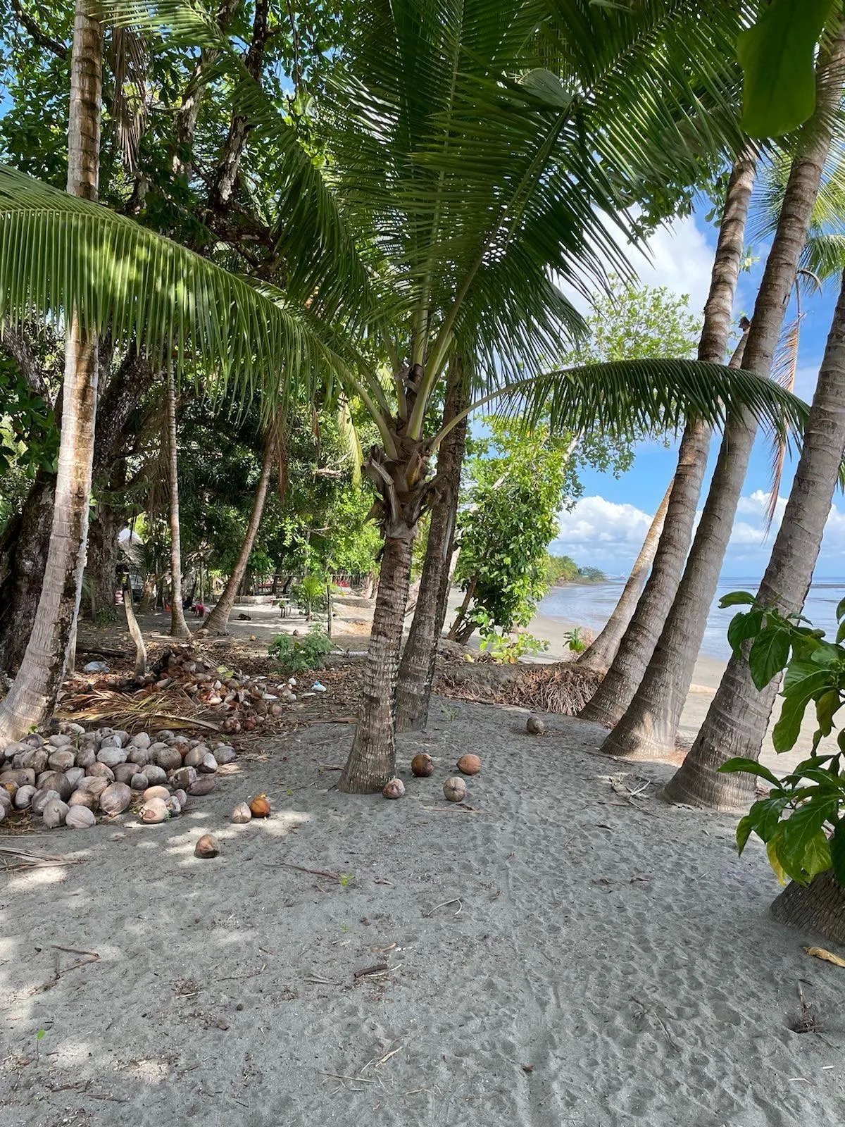 Lot For Sale in Puerto Armuelles, Limones