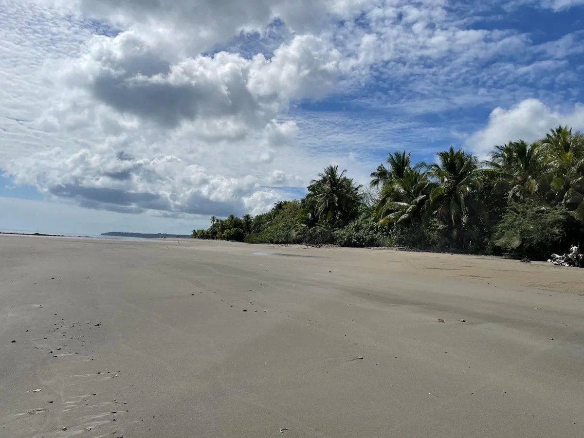 Lot For Sale in Puerto Armuelles, Limones